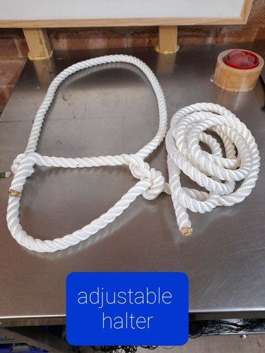 Rope halter white - ,head, collar