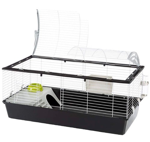 Indoor large rabbit - indoor,