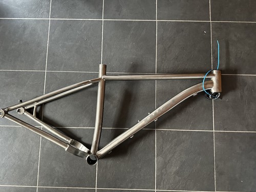 Titanium pilot locum frame - pilot,