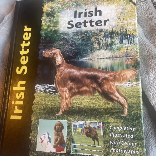 Irish setter hardcover - hardcover, by
