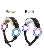 Rainbow Multi Color Hackamore