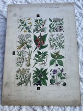 James Green Original Comic