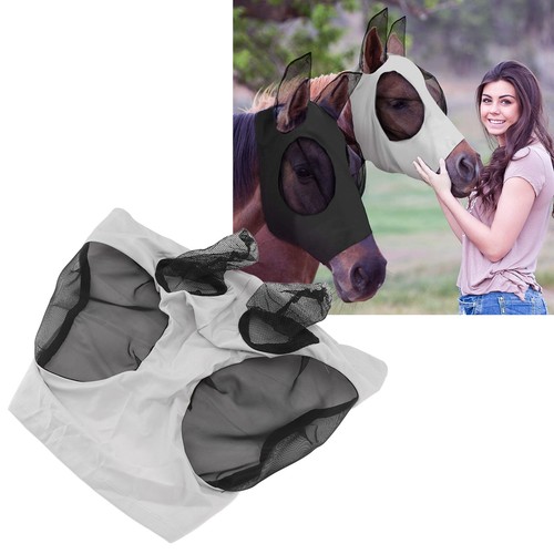Acogedo horse fly - horse, mask