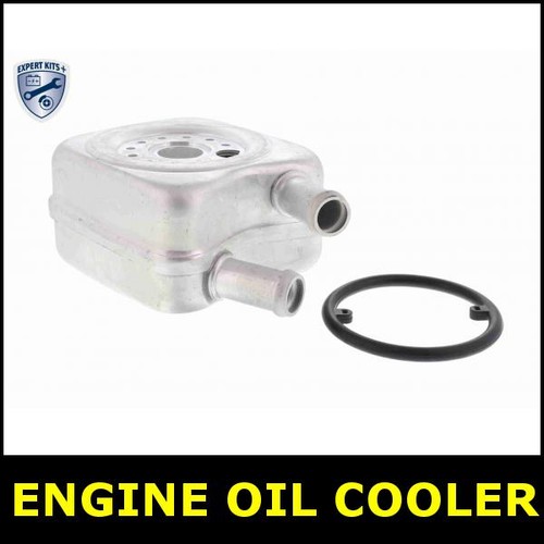 Engine oil cooler - engine,