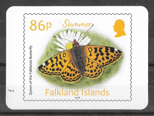 Falkland islands 2026 - islands,