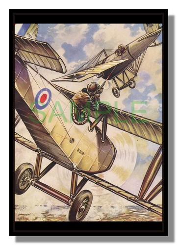 World war one - dogfight, rifles