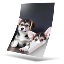 1 x Vinyl Sticker A4 - Cute