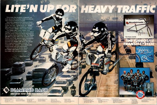 1983 diamond back factory - back,