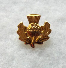 THISTLE - SCOTLAND - Vintage - PIN BADGE