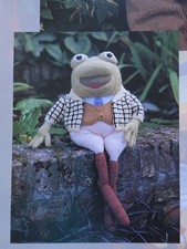 WIND IN THE WILLOWS  TOYS & SWEATERS  KNITTING PATTERN    DK