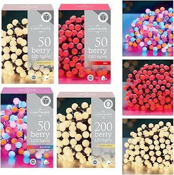 Led fairy lights - led, berry