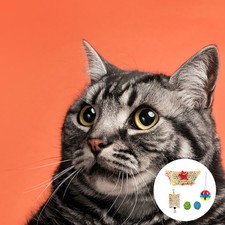  5 PCS/Set Hens Balls Chicken