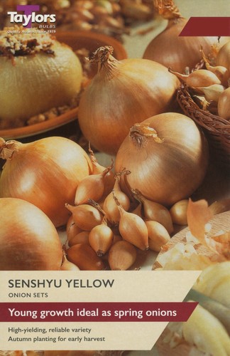 Onion set senshyu yellow - yellow,