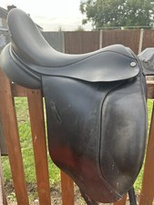 Cliff Barnsby Black Dressage