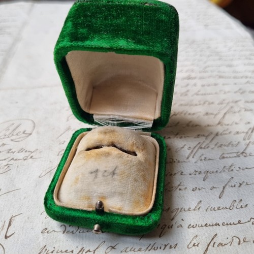 Antique green velvet jewel - antique,