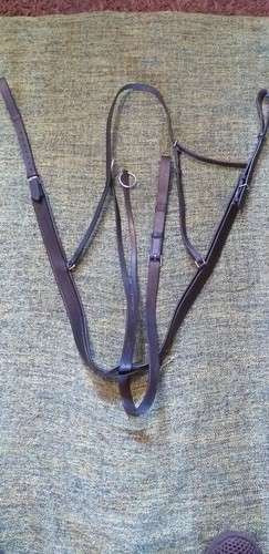 English leather breastplate/