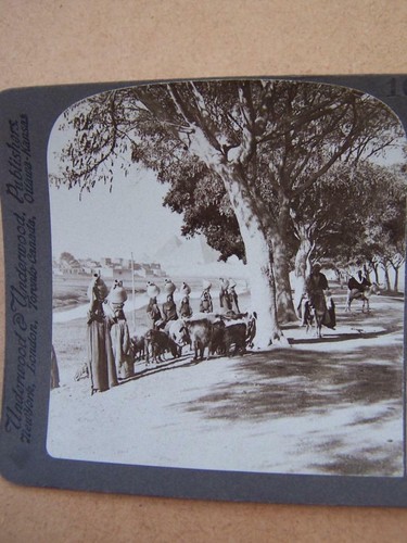 Stereoscopic stereo view - stereoscopic, stereo-view