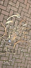 Deer Antlers Bulk. Dog Chew.  Arts and Craft