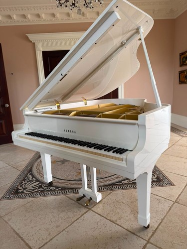 Yamaha baby grand piano - yamaha,