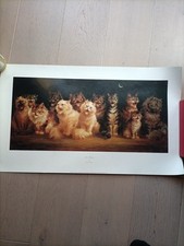 Cat Chorus by Moonlight   