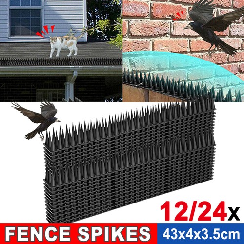 Bird deterrent spikes - bird, outdoor