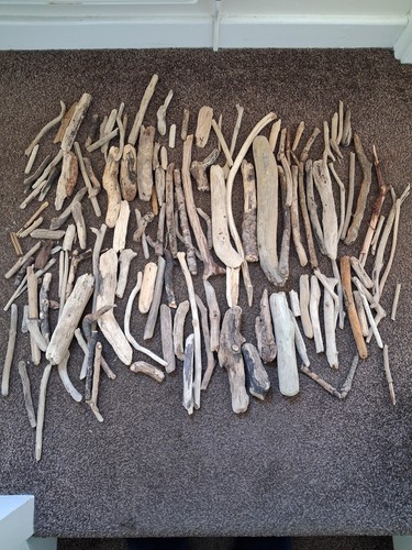 100 pieces drift wood - 100+,
