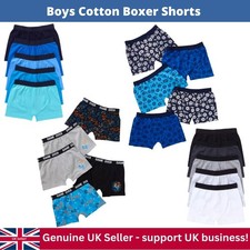 Boys 5 Pack Trunks Boxer
