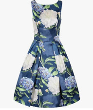 Chi Chi Blue Floral Fit Flare