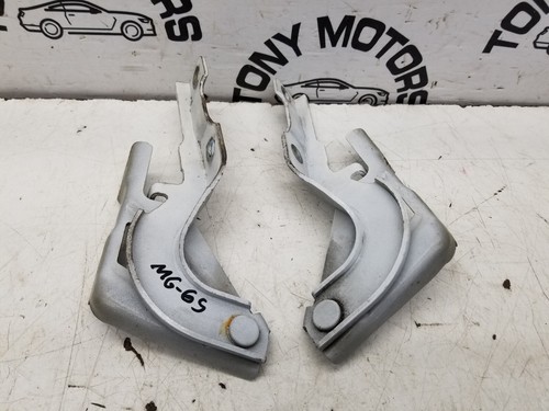 2019 pair of bonnet - 2019, gs