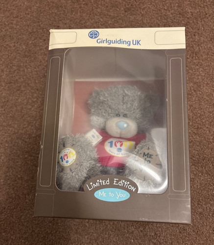 100 years girlguiding - 100,