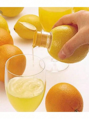 2026 new spiral manual - spiral, citrus