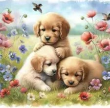 Cute Labrador Puppies 5D