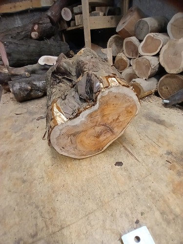 Large part seasoned yew - large,