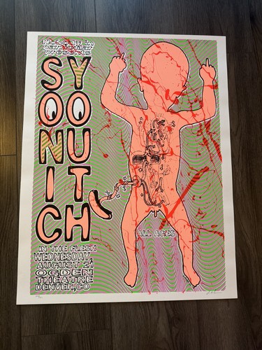 Sonic youth concert - concert, poster