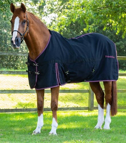 Premier equine barrasso stable - equine,