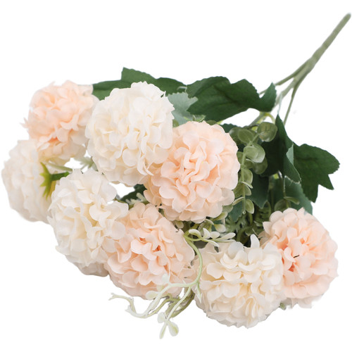 Camellia rose chrysanthemum - camellia,