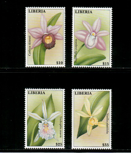 Liberia 2000 flowers - -, orchids