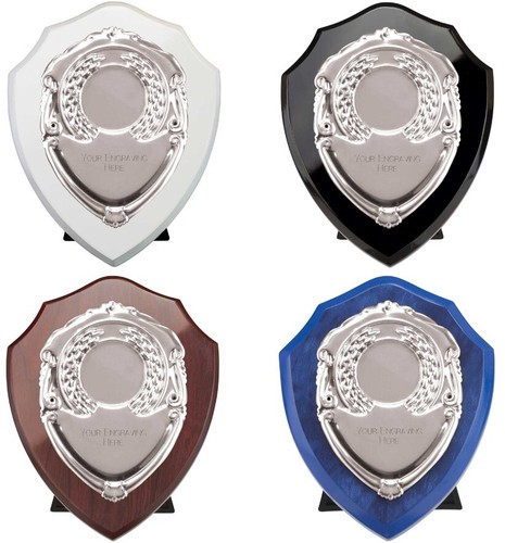Reward plaques silver engraved - silver,