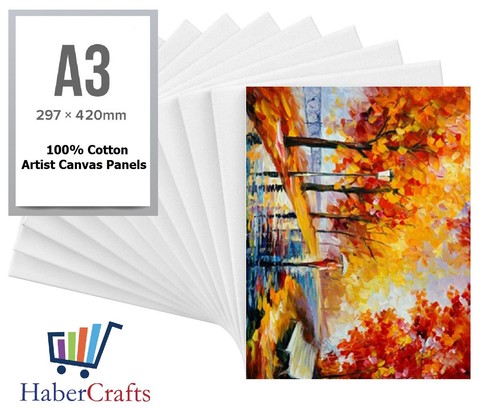 Artist canvas boards primed - artist,