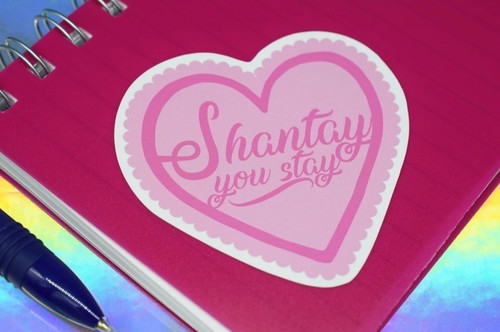 Shantay you stay sticker - you,