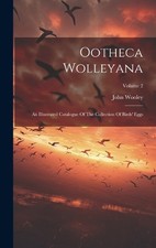 John Wooley Ootheca Wolleyana