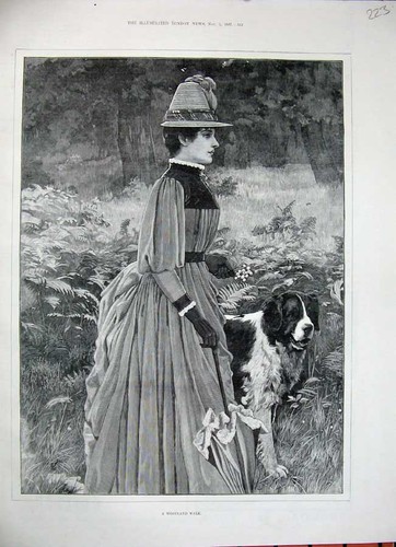 Original old antique print - antique,