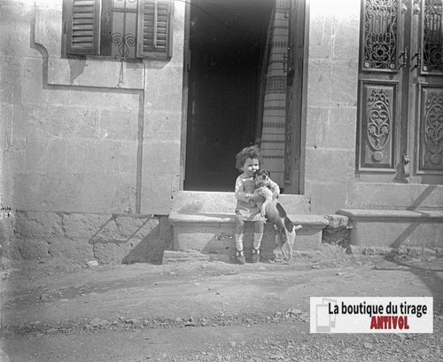 Stereoscopic photo plate - photo,