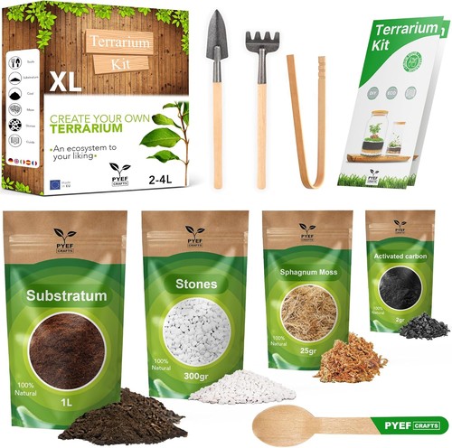 Diy terrarium kit - terrarium, for