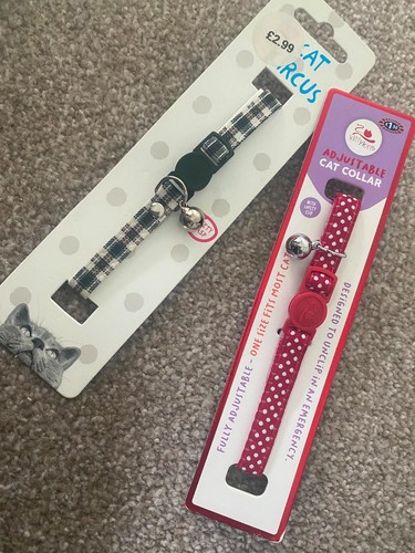 Cat collar with bell - ,