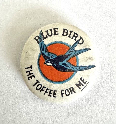 Vintage 1950 blue bird - 1950’s,