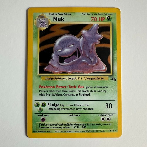 Muk fossil holo - muk,
