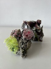 Planted Coral Marine Reef Aquarium Fish Tank Decoration Ornament Small