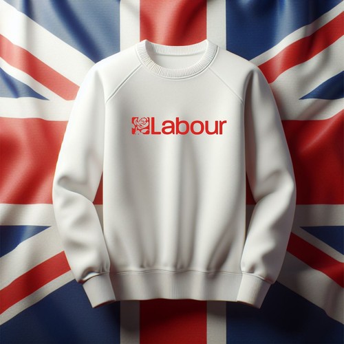 Election 2024 jumper - 2024,