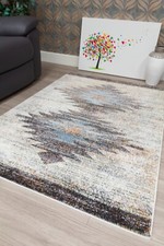 Large Living Room Rugs Multi
